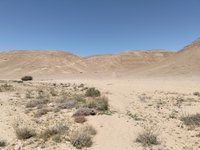 IMG_20260316_111741.jpg