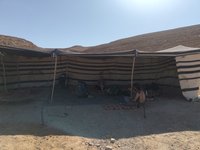 IMG_20260316_144730.jpg