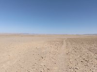 IMG_20260316_145327.jpg