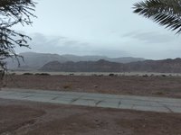 IMG_20260315_060446.jpg