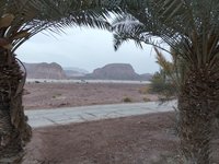 IMG_20260315_060456.jpg