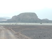 IMG_20260315_061052.jpg