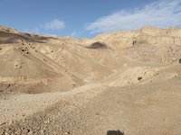 IMG_20260315_073419.jpg
