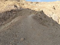 IMG_20260315_075042.jpg