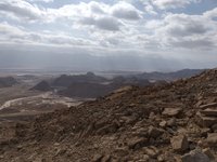 IMG_20260315_083531.jpg