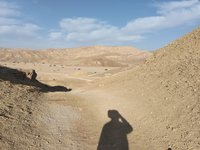 IMG_20260311_072441.jpg