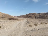 IMG_20260311_080142.jpg