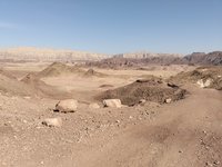 IMG_20260311_085626.jpg