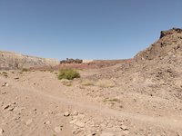 IMG_20260311_095934.jpg