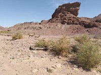 IMG_20260311_100106.jpg