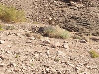 IMG_20260311_100214.jpg