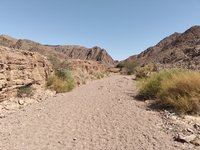 IMG_20260311_103522.jpg