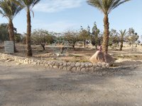 IMG_20260311_163051.jpg