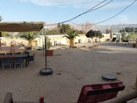IMG_20260311_163918.jpg