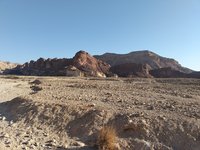 IMG_20260310_072214.jpg