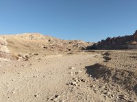 IMG_20260310_072218.jpg