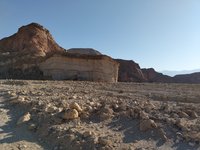 IMG_20260310_072740.jpg