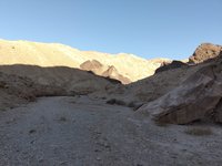 IMG_20260310_075025.jpg