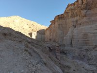 IMG_20260310_080342.jpg