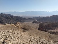 IMG_20260310_084913.jpg