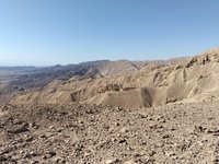 IMG_20260310_085351.jpg