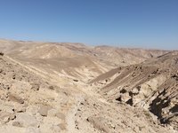 IMG_20260310_093622.jpg
