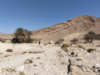 IMG_20260310_102310.jpg