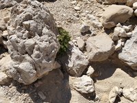 IMG_20260310_105628.jpg