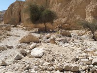 IMG_20260310_105632.jpg