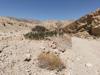 IMG_20260310_105914.jpg