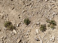 IMG_20260310_112630.jpg