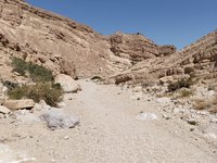 IMG_20260310_113513.jpg