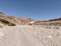 IMG_20260310_114348.jpg