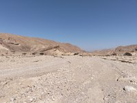 IMG_20260310_122133.jpg