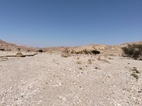 IMG_20260310_125130.jpg