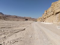 IMG_20260310_134416.jpg