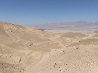 IMG_20260310_142553.jpg