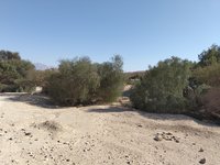 IMG_20260310_145708.jpg