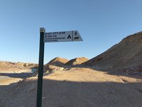 IMG_20260309_070457.jpg