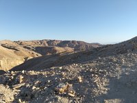 IMG_20260309_070807.jpg