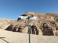 IMG_20260309_074301.jpg