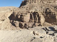 IMG_20260309_074319.jpg