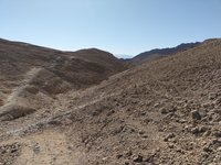 IMG_20260309_083103.jpg