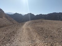IMG_20260309_085242.jpg