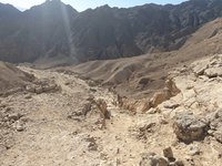 IMG_20260309_085504.jpg