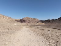 IMG_20260309_100834.jpg