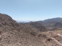 IMG_20260309_115706.jpg