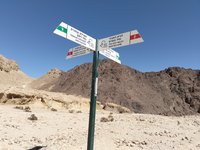 IMG_20260309_130238.jpg