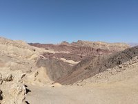IMG_20260309_131449.jpg