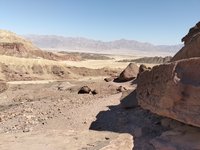 IMG_20260309_132431.jpg